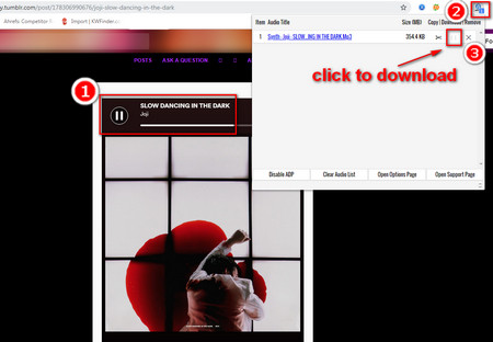 How to Download Songs from Tumblr with Audio Downloader Prime